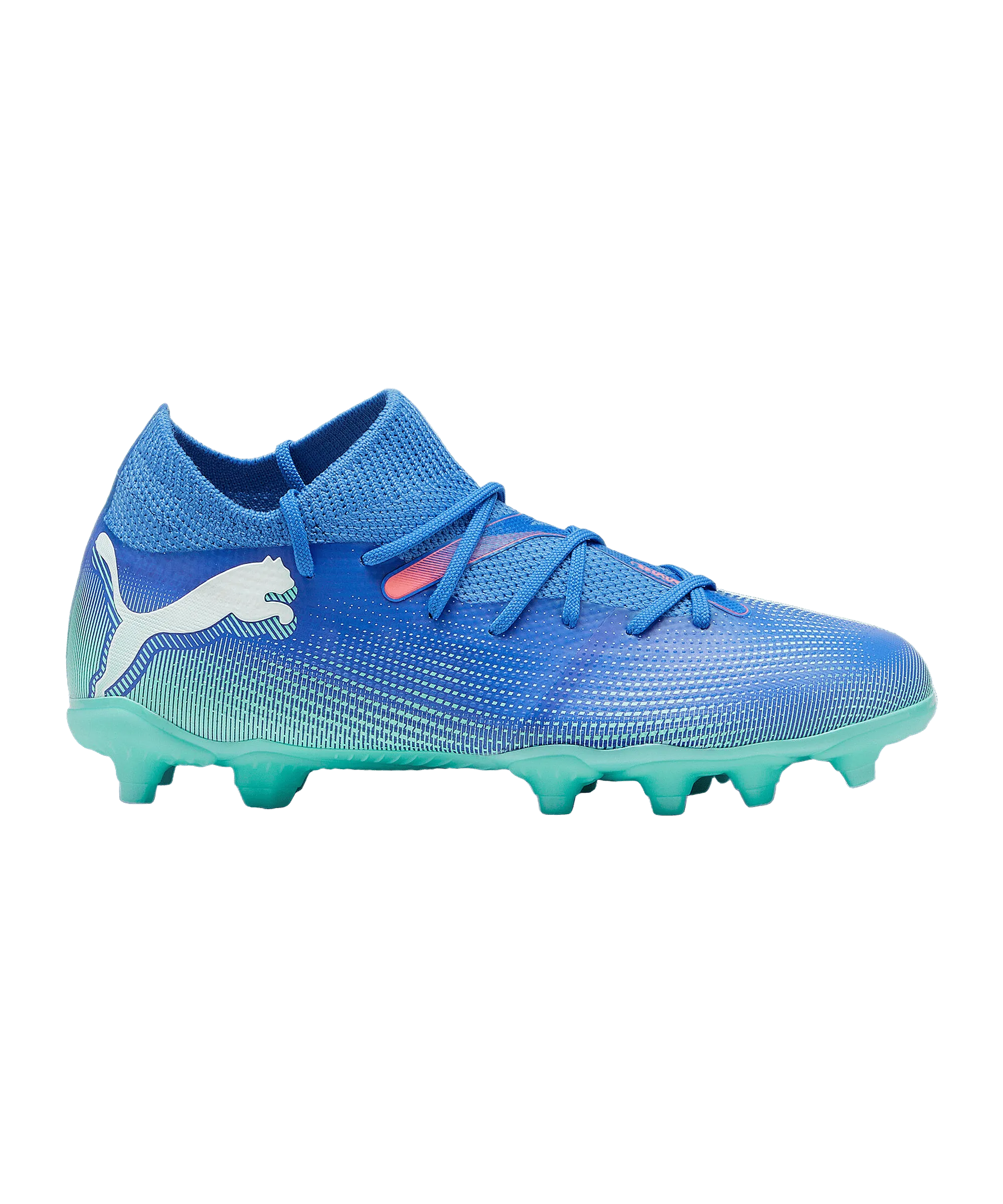 Puma Youth Future Match FG/AG